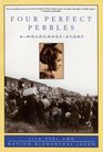 Four Perfect Pebbles A Holocaust Story