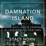 Damnation Island Poor Sick Mad and Criminal in 19thCentury New York