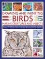 Drawing And Painting Birds Marine Creatures and Insects How to create beautiful artworks of birds fish beetles and butterflies with expert  and illustrations