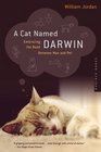 A Cat Named Darwin : Embracing the Bond Between Man and Pet