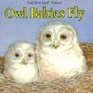 Owl Babies Fly
