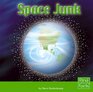 Space Junk