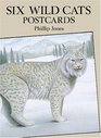 Six Wild Cats Postcards
