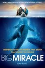 Big Miracle Three Trapped Whales One Small Town a BigHearted Story of Hope