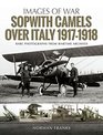 Sopwith Camels Over Italy 19171918