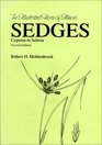 Sedges Cyperus to Scleria