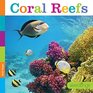 Seedlings Coral Reefs
