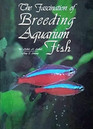 The Fascination of Breeding Aquarium Fish