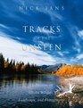 Tracks of the Unseen Meditations on Alaska Wildlife Landscape and Photography