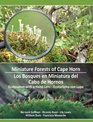 Miniature Forests of Cape Horn Ecotourism with a Hand Lens