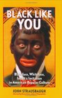Black Like You Blackface Whiteface Insult  Imitation in American Popular Culture