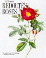 Redoute's Roses