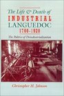 The Life and Death of Industrial Languedoc 17001920
