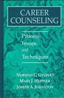 Career Counseling Process Issues and Techniques