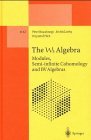 The W3 Algebra Modules Semiinfinite Cohomology and BV Algebras