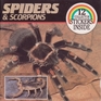 Spiders and Scorpions