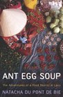 Ant Egg Soup The Adventures of a Food Tourist in Laos
