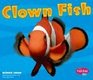 Clown Fish