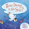 How Deep is the Sea? (Usborne Picture Storybooks)