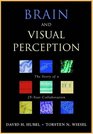 Brain And Visual Perception The Story Of A 25year Collaboration