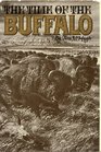The time of the buffalo