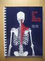 Atlas of the Skeletal Muscles