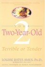Your Two-Year-Old : Terrible or Tender