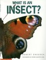 What Is an Insect?