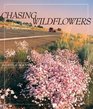 Chasing Wildflowers