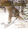 Life in the Boreal Forest