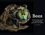 Bees An UpClose Look at Pollinators Around the World