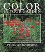 Color in Your Garden