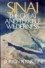 Sinai The Great and Terrible Wilderness