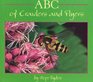 ABC of Crawlers and Flyers