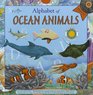 Alphabet of Ocean Animals 3Piece Set