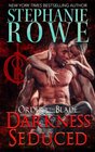 Darkness Seduced (Order of the Blade) (Volume 2)