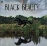 Black Beauty (Golden Look-Look)