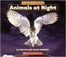 Animals at Night