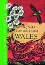 Stories From Wales Oxford Children's Myths and Legends