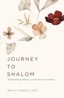 Journey to Shalom Finding Healing Wholeness and Freedom In Sacred Stories