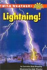 Wild Weather Lightning