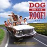 Dog on the Roof On the Road with Mitt and the Mutt