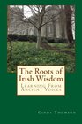 The Roots of Irish Wisdom Learning From Ancient Voices
