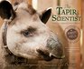 The Tapir Scientist Saving South America's Largest Mammal