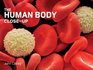 The Human Body CloseUp