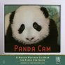 Panda Cam A Nation Watches Tai Shan the Panda Cub Grow