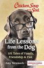 Chicken Soup for the Soul Life Lessons from the Dog 101 Tales of Family Friendship  Fun