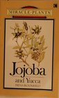 Miracle plants Jojoba and yucca
