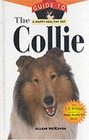 The Collie   An Owner's Guide To A Happy Healthy Pet