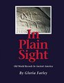 In Plain Sight Old World Records in Ancient America